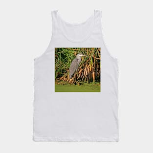 Grey Heron, October 2019 Tank Top